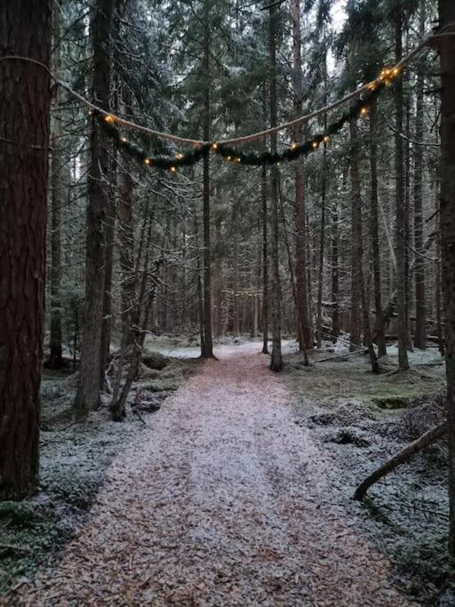 Hotel Treetop Ekne - Hytte I Skogen Med Hengebru à Levanger Extérieur photo