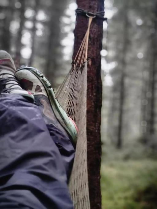 Hotel Treetop Ekne - Hytte I Skogen Med Hengebru à Levanger Extérieur photo
