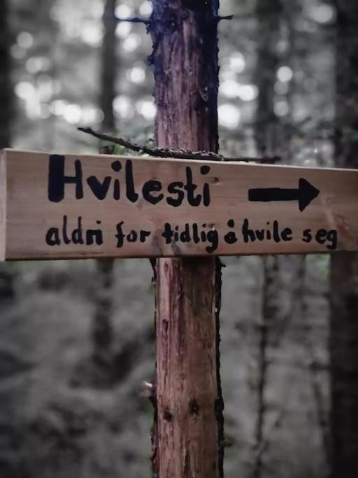 Hotel Treetop Ekne - Hytte I Skogen Med Hengebru à Levanger Extérieur photo