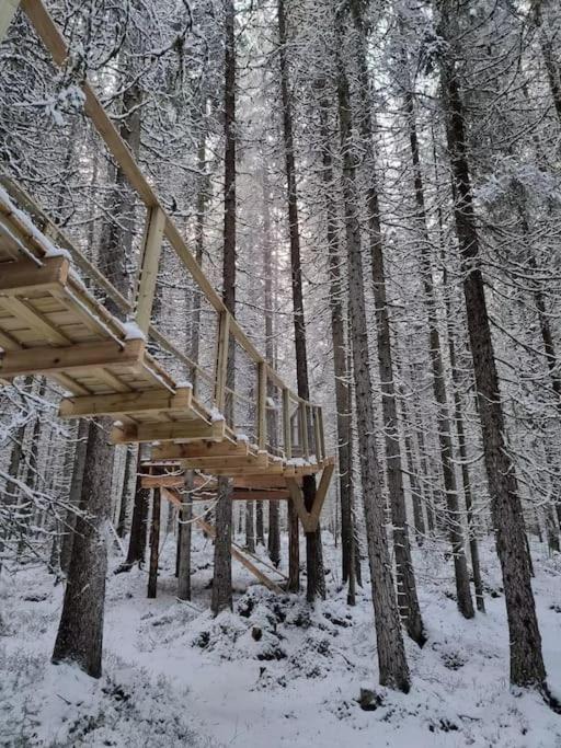 Hotel Treetop Ekne - Hytte I Skogen Med Hengebru à Levanger Extérieur photo