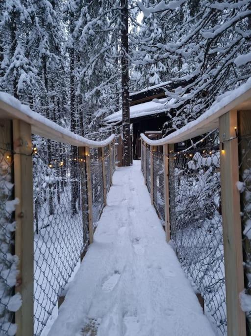 Hotel Treetop Ekne - Hytte I Skogen Med Hengebru à Levanger Extérieur photo