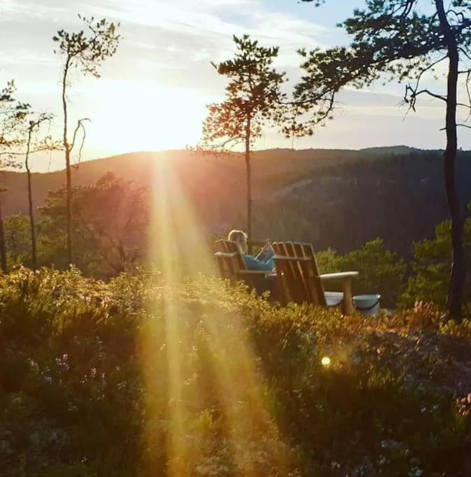 Hotel Treetop Ekne - Hytte I Skogen Med Hengebru à Levanger Extérieur photo