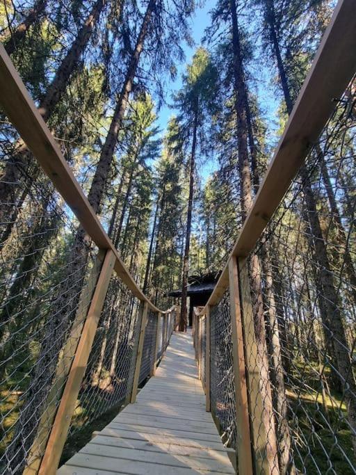 Hotel Treetop Ekne - Hytte I Skogen Med Hengebru à Levanger Extérieur photo