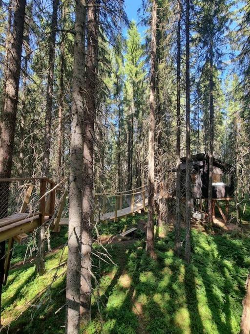 Hotel Treetop Ekne - Hytte I Skogen Med Hengebru à Levanger Extérieur photo