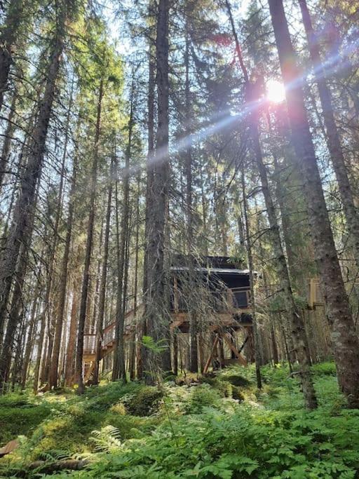 Hotel Treetop Ekne - Hytte I Skogen Med Hengebru à Levanger Extérieur photo